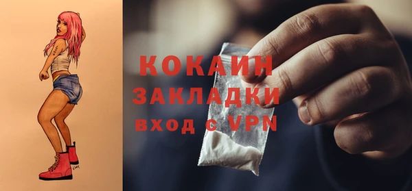 Альфа ПВП Бородино