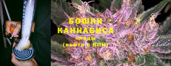 спиды Верея