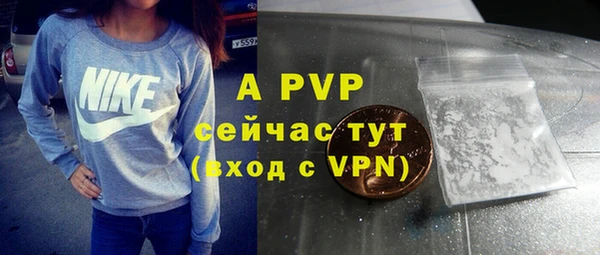спиды Верея