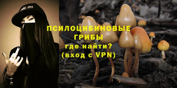 спиды Верея