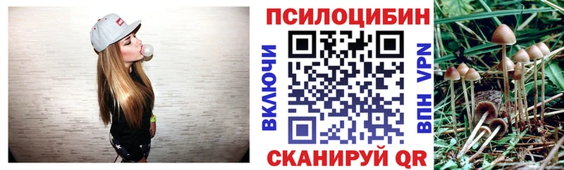 Псилоцибиновые грибы Magic Shrooms где продают Волчанск